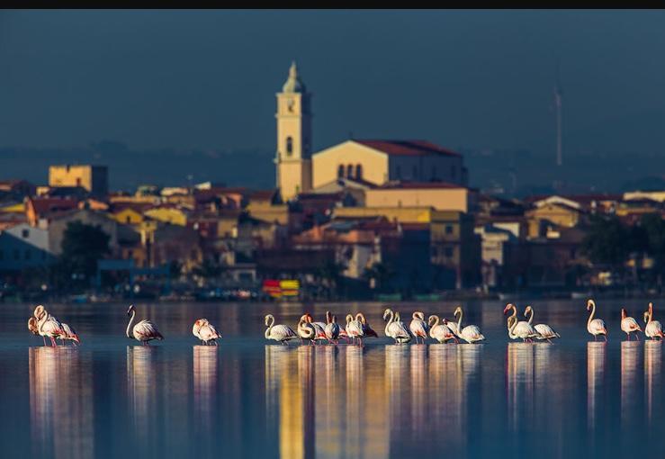 Casale Villa Giulia Marina Di Lesina Luaran gambar